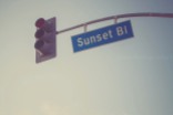 trip-to-los-angeles-sunset-blvd-hollywood-mom-photographer-13